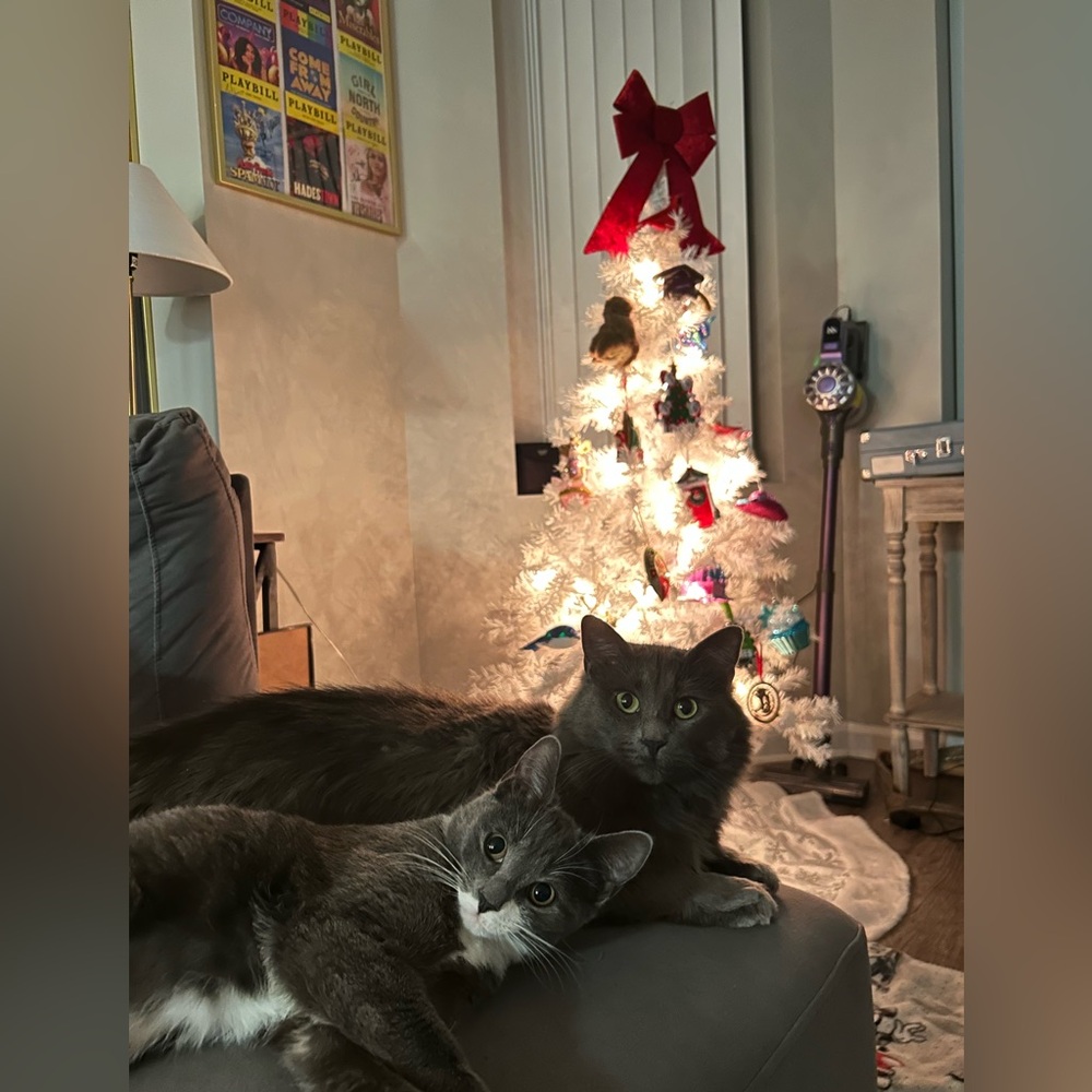 MY SHOW FLYER!!! DESIGNER & LUX BAGS, ACCESSORIES, KATE & COACH, PLUS CLOTHES - Picture 11 of 14